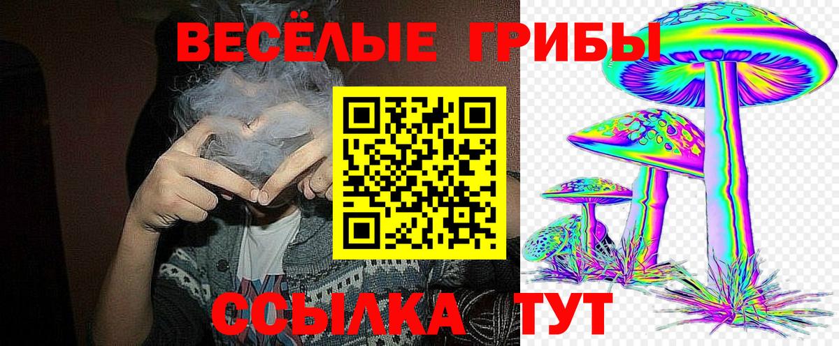 Балашиха  Псилоцибиновые грибы MAGIC MUSHROOMS  Галлюциногенные грибы мухоморы  Вход с VPN 